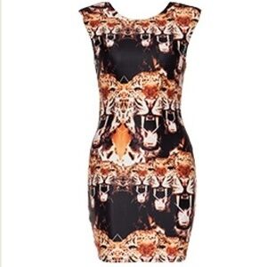 Backstage Hello Tiger Dress